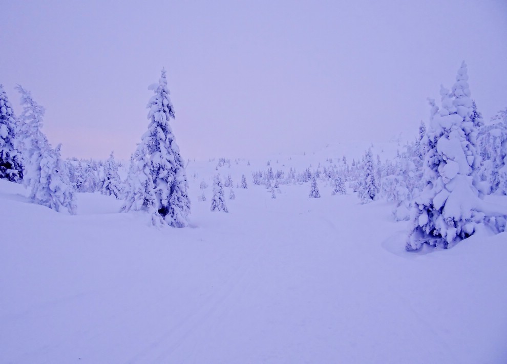 DSC00792EttermiddagPaaKvitfjell.JPG