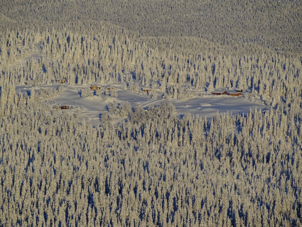DSC00845MangeTraerFaaHus.JPG
