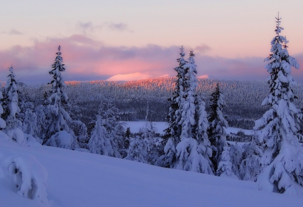 DSC00871Kvitfjellutsikten.JPG